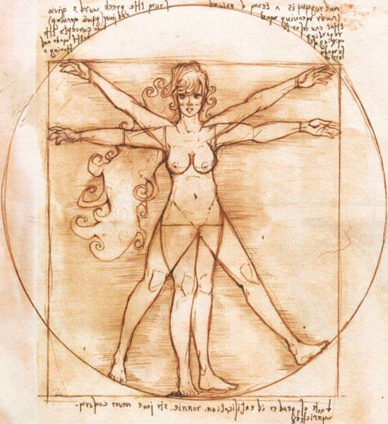 Da Vinci's Vitruvian Man (18 pics)