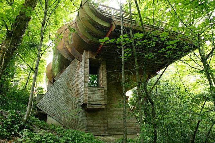 The Coolest Tree House I Have Ever Seen (15 pics)