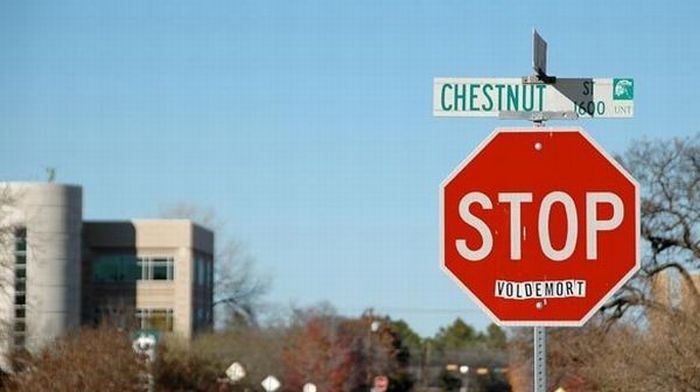 Fun with the Stop Signs (15 pics)