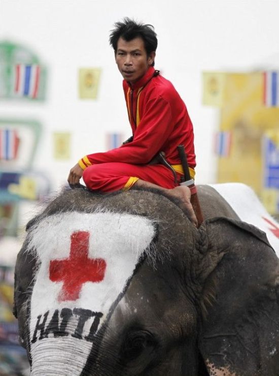 Thai Elephants Help to Raise Money for Haiti (7 pics)