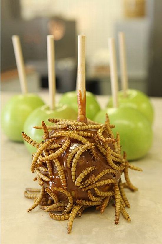 Exotic Insect Candies (14 pics)