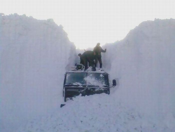 Acid Picdump (109 pics)