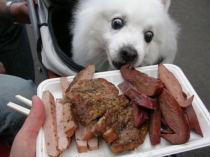 Acid Picdump (109 pics)