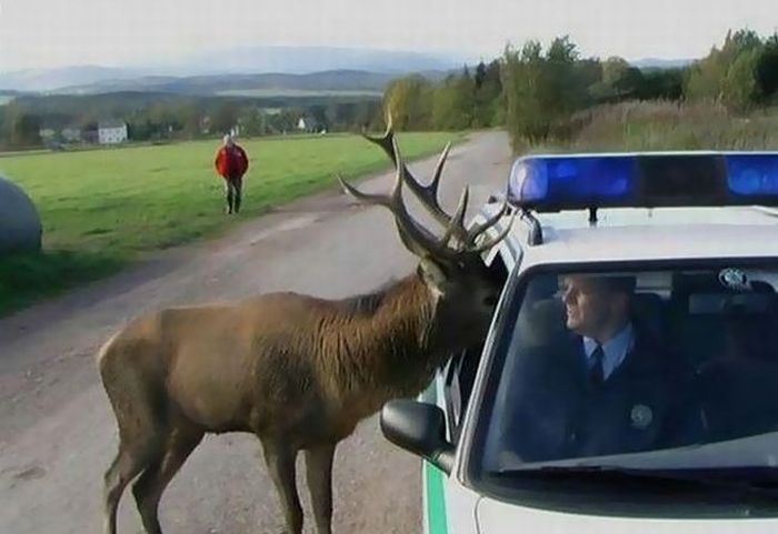 Acid Picdump (109 pics)