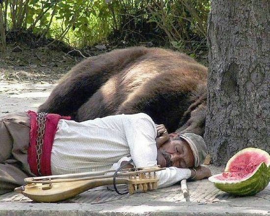 Acid Picdump (109 pics)
