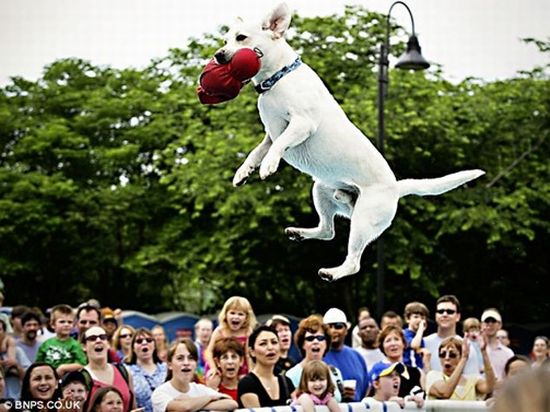 Acid Picdump (109 pics)