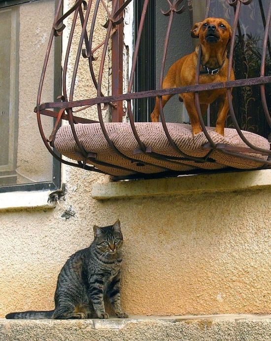 Acid Picdump (109 pics)