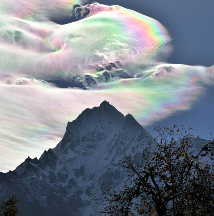 Acid Picdump (109 pics)