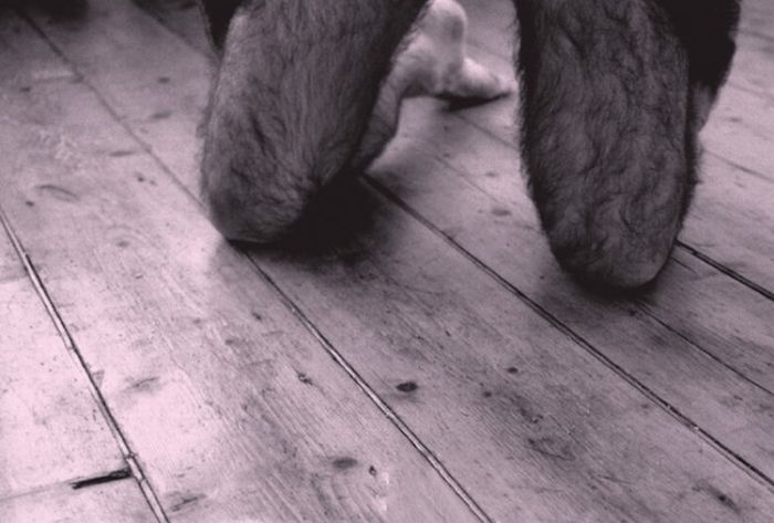 Acid Picdump (109 pics)