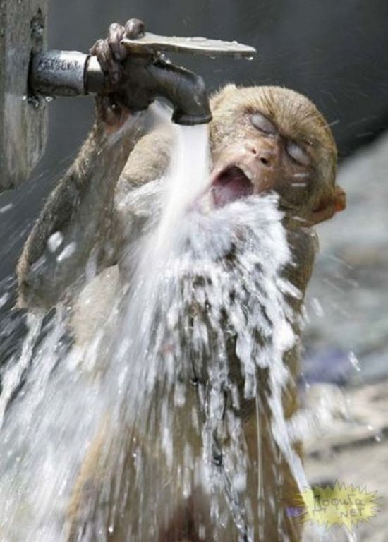 Acid Picdump (109 pics)