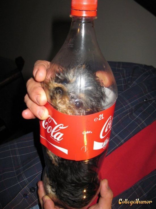 Acid Picdump (109 pics)