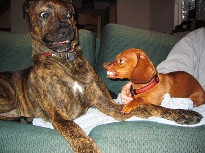 Acid Picdump (109 pics)