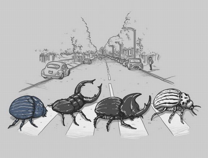 Acid Picdump (109 pics)