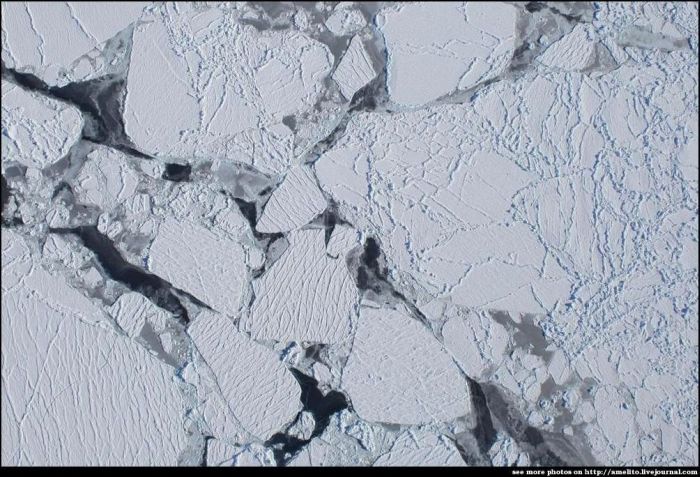 Ice Surface of Earth from Above (14 pics)