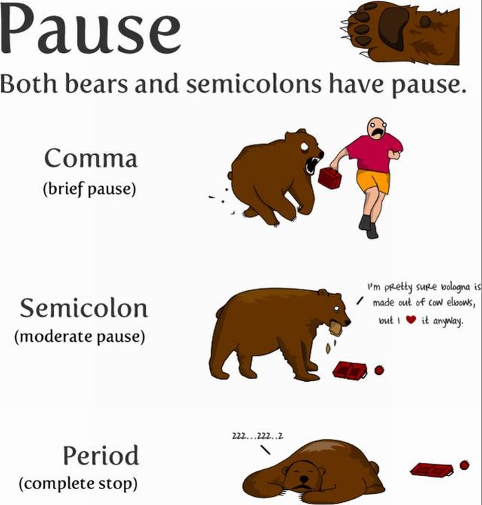 How to Use a Semicolon! (9 pics)