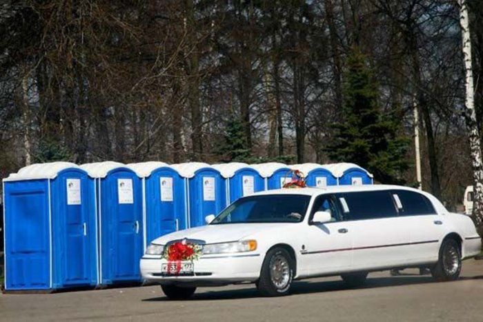 Acid Picdump (167 pics)