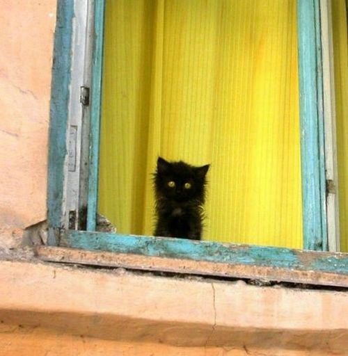 Acid Picdump (167 pics) Acid Picdump (167 pics)