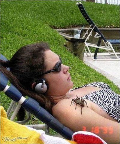 Acid Picdump (167 pics)