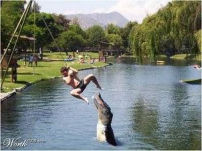 Acid Picdump (167 pics)