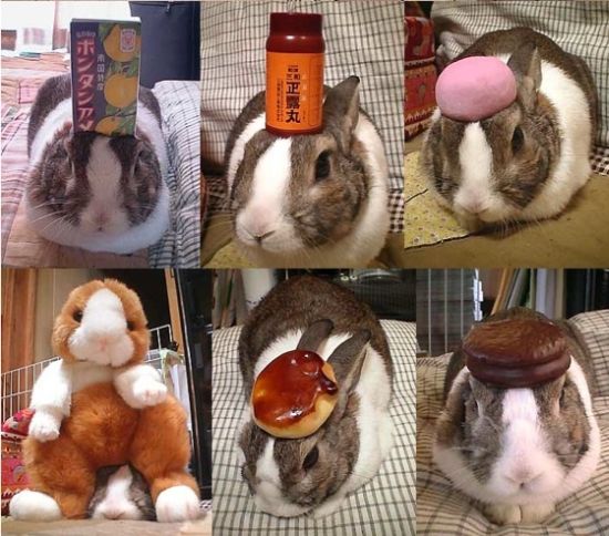 Acid Picdump (167 pics) Acid Picdump (167 pics)