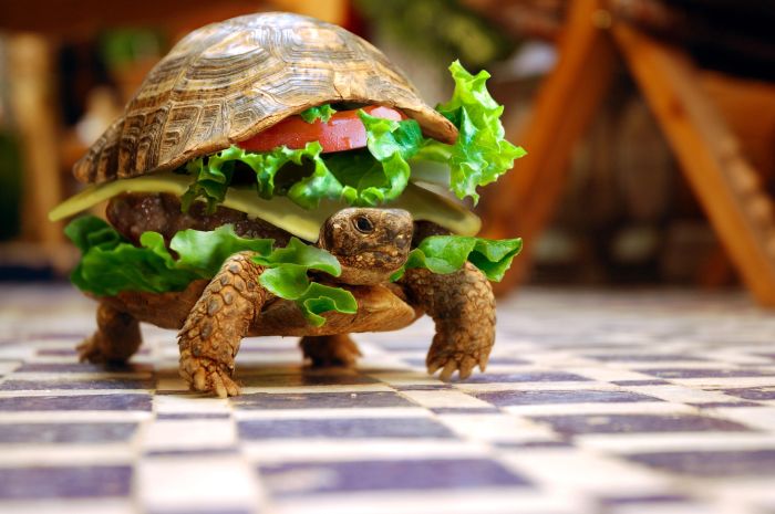 Acid Picdump (167 pics)