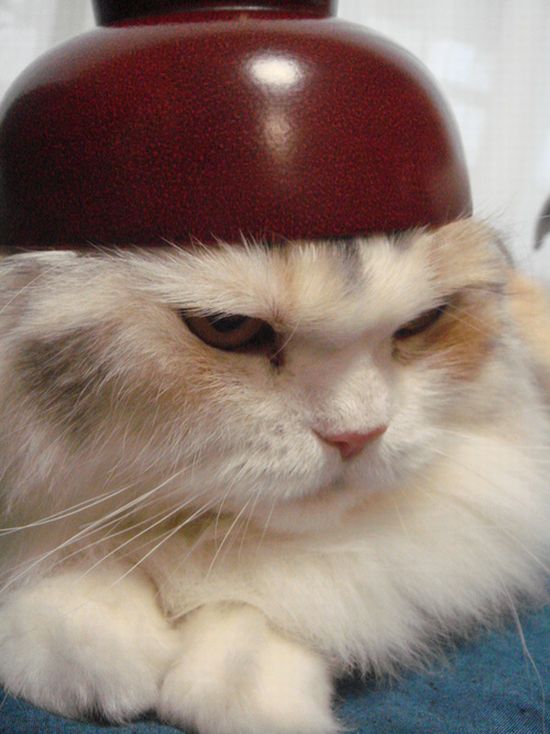 Acid Picdump (167 pics)