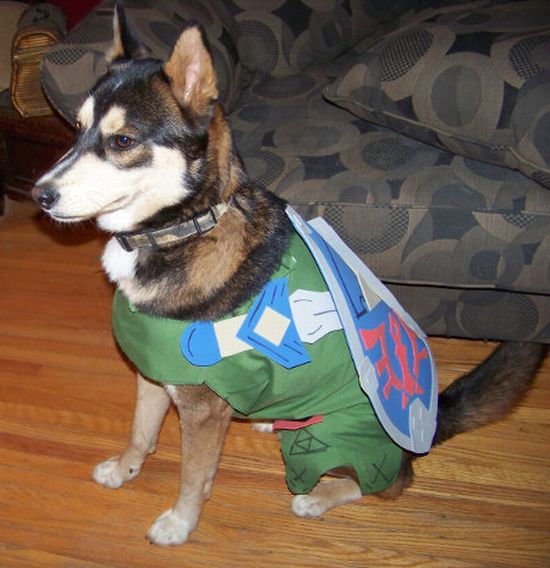 Acid Picdump (167 pics)