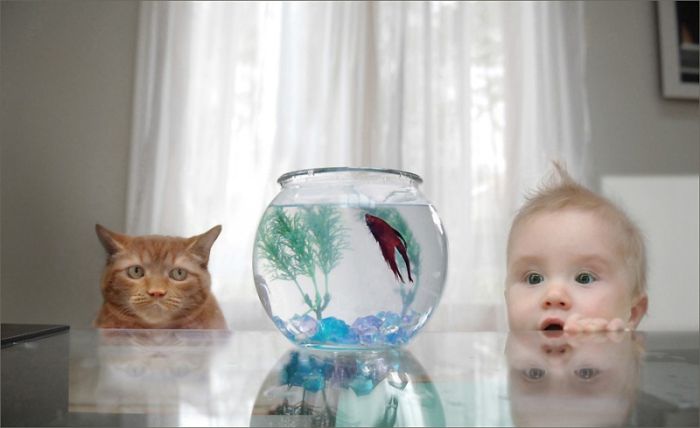 Acid Picdump (167 pics)