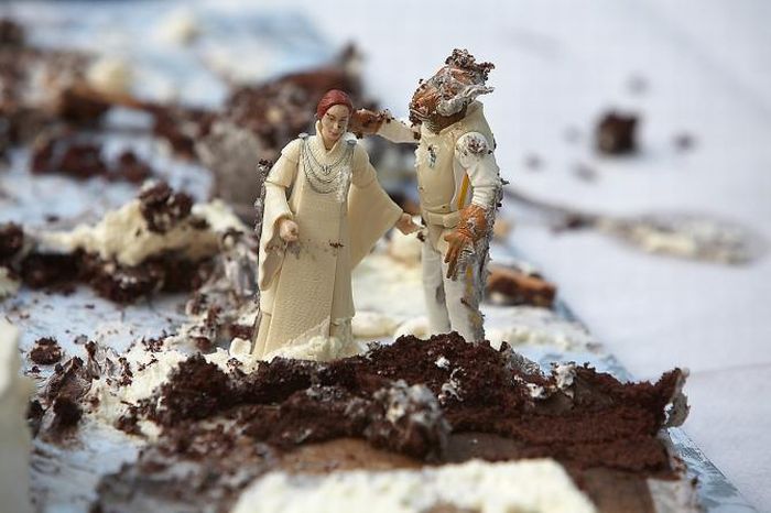 Wedding of Star Wars Fans (15 pics)