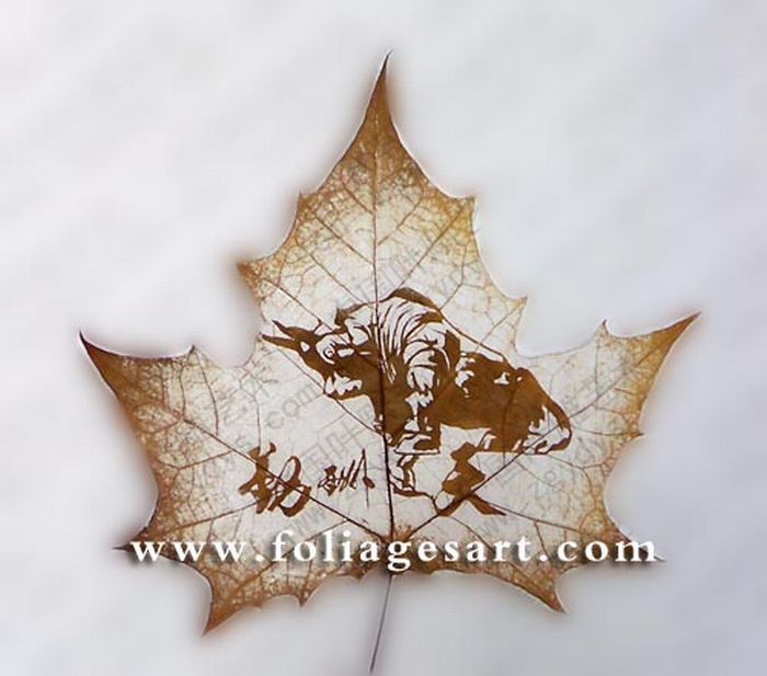Leaf Carving. Part II (78 pics)