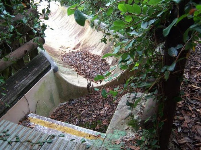 Abandoned water park at Walt Disney World (56 pics)