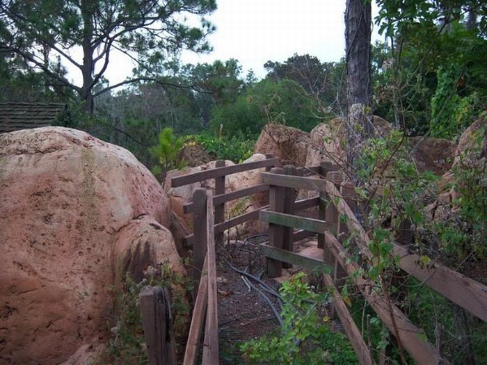 Abandoned water park at Walt Disney World (56 pics)