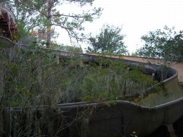 Abandoned water park at Walt Disney World (56 pics)