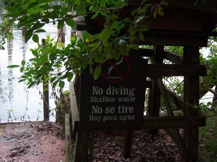 Abandoned water park at Walt Disney World (56 pics)