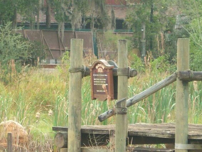 Abandoned water park at Walt Disney World (56 pics)