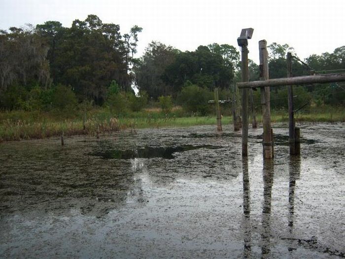 Abandoned water park at Walt Disney World (56 pics)