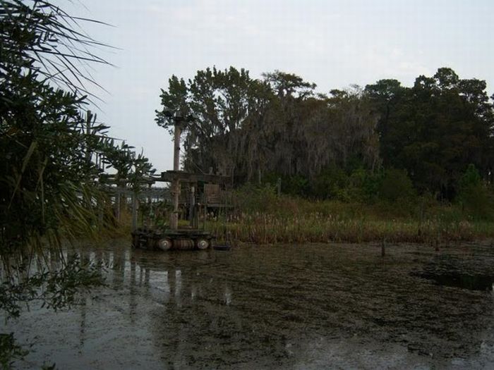 Abandoned water park at Walt Disney World (56 pics)