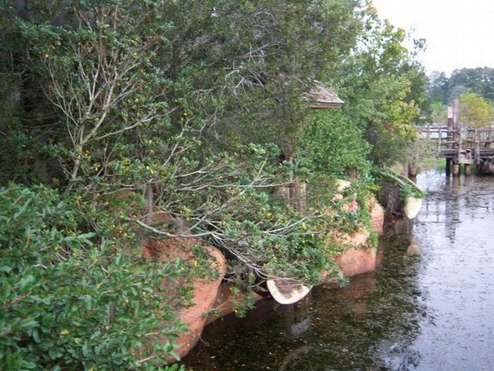 Abandoned water park at Walt Disney World (56 pics)