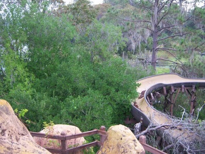 Abandoned water park at Walt Disney World (56 pics)