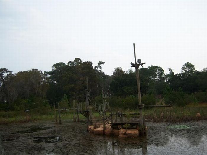 Abandoned water park at Walt Disney World (56 pics)