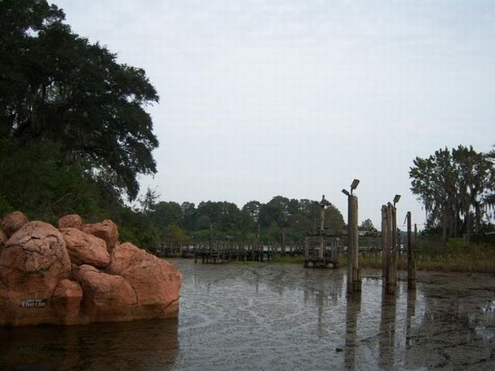 Abandoned water park at Walt Disney World (56 pics)