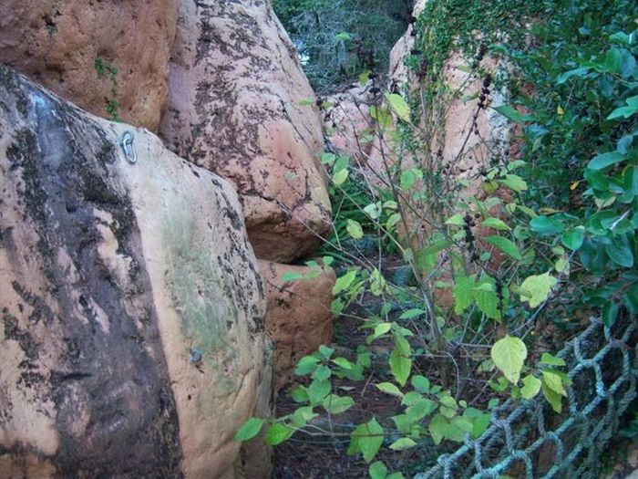 Abandoned water park at Walt Disney World (56 pics)