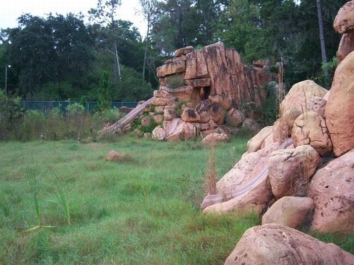 Abandoned water park at Walt Disney World (56 pics)