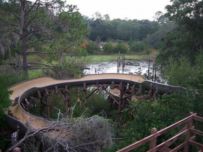 Abandoned water park at Walt Disney World (56 pics)