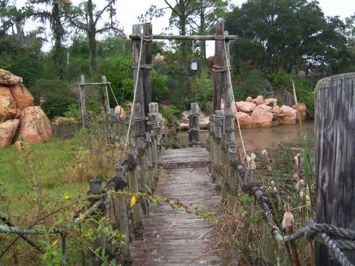 Abandoned water park at Walt Disney World (56 pics)