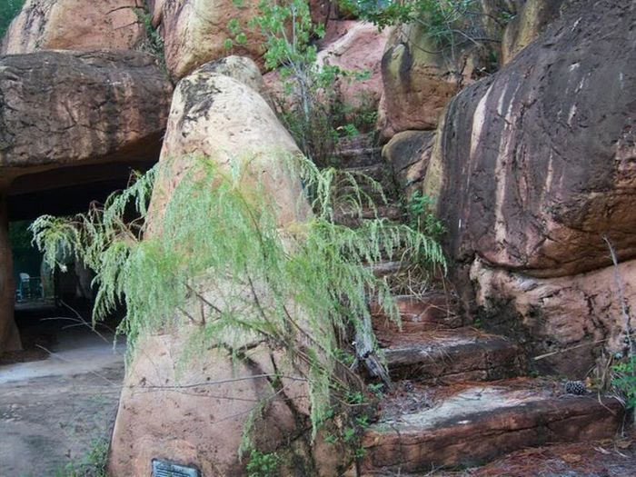 Abandoned water park at Walt Disney World (56 pics)