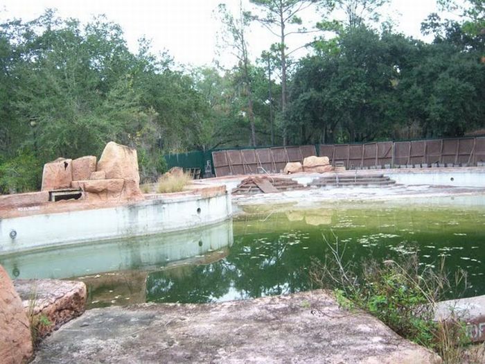 Abandoned water park at Walt Disney World (56 pics)