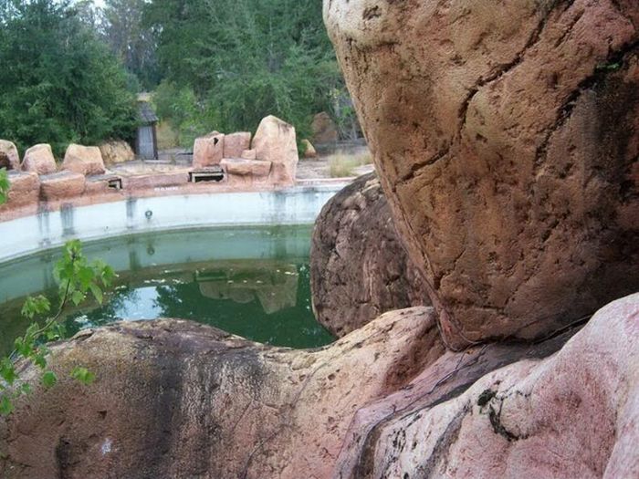 Abandoned water park at Walt Disney World (56 pics)