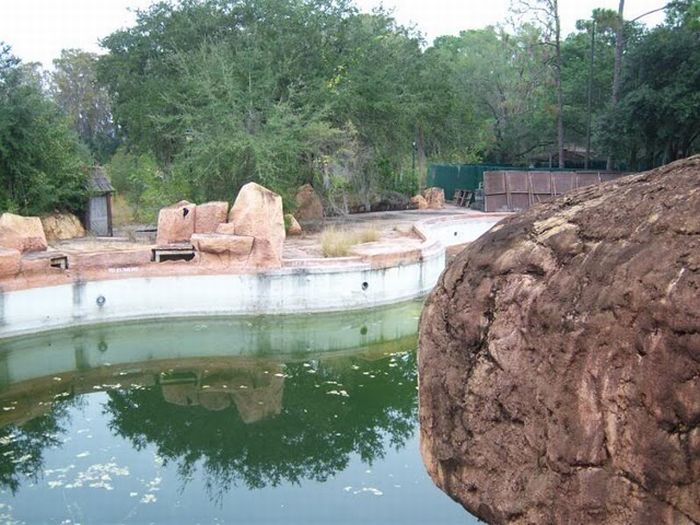 Abandoned water park at Walt Disney World (56 pics)