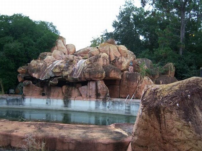 Abandoned water park at Walt Disney World (56 pics)